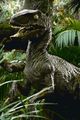 Velociraptor v1 Female.JPG