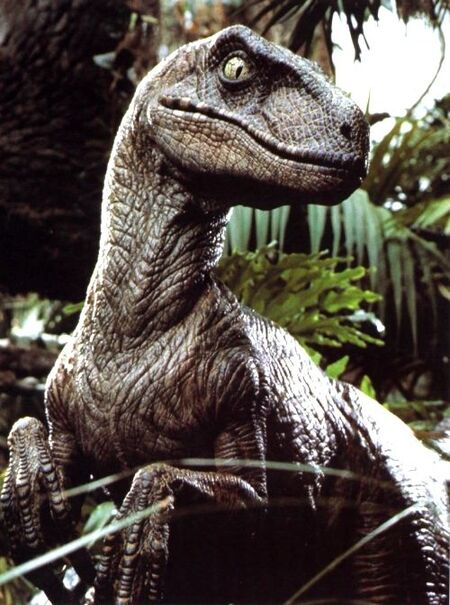 Velociraptor (Film Universe) - Jurassic Outpost Encyclopedia