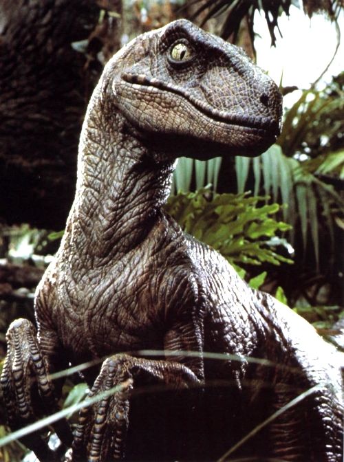 Velociraptor Film Universe Jurassic Outpost Encyclopedia 