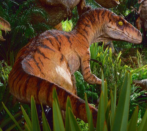 Velociraptor (Film Universe) - Jurassic Outpost Encyclopedia