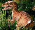 Velociraptor v1 Male.jpg